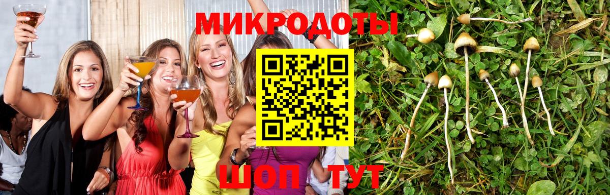 Галлюциногенные грибы Psilocybe Воткинск